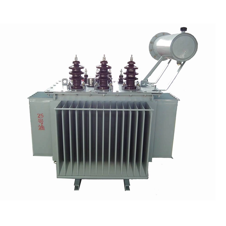 S11 100 Kva 6.3kv 400v تیل سے بھرا ٹرانسفارمر S11 100 Kva 6.3kv 400v تیل سے بھرا ٹرانسفارمر